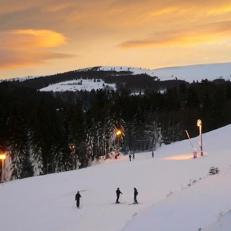 Апартаменти Ma Montagne Chic Ла-Бресс Екстер'єр фото